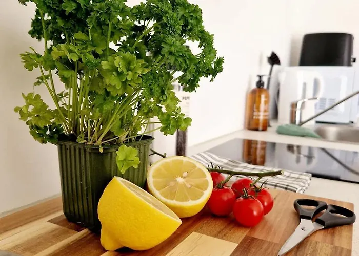 بيت للعطل Center Terrace In Quiet Backyard - Stylish برغن